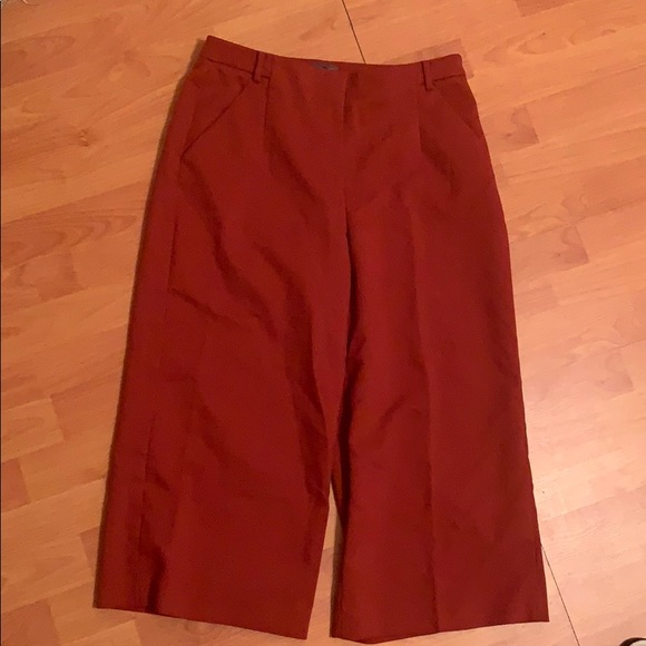 Rust-Colored Capri Pants - Picture 1 of 3